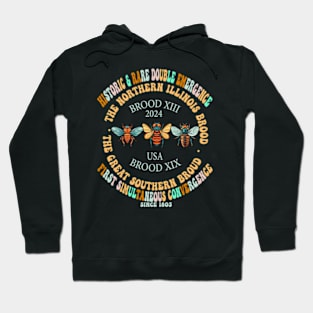 Cicada 2024 Event Brood Xix Xiii nce Hoodie